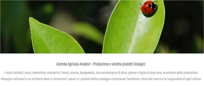 Azienda agricola biologica Amaduri