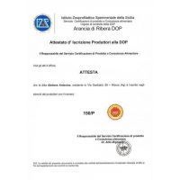 certificato riberella_barbera