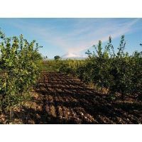 12311055_970038873066637_2653757706543124206_n