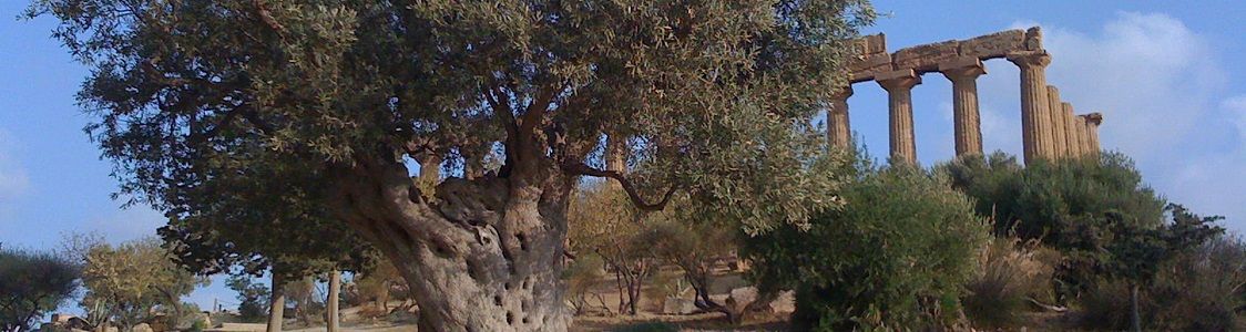 Azienda agricola Prospera s.s.