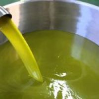 estrazioneafreddoolioetravergine150x150