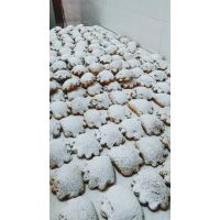 fb_img_1541065321800