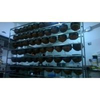 wp_20151128_16_26_10_pro-1