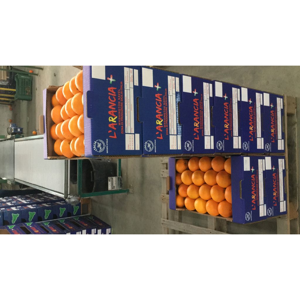 Arance Washington Navel cassetta da Kg 10/16