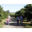 Azienda agricola, Domenico e Salvo