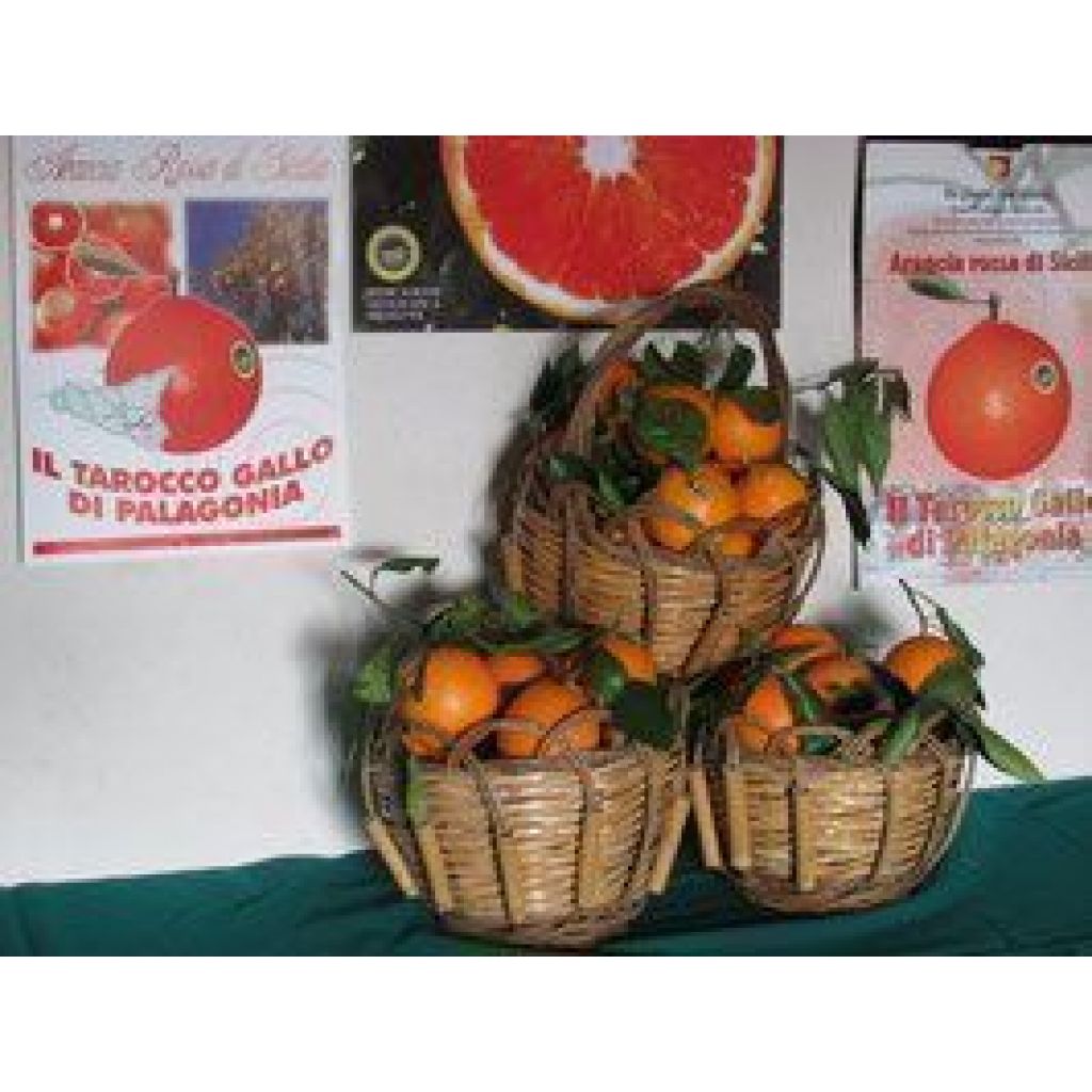 Confezione 16,5Kg di Arance Rosse di Sicilia variet&agrave; Tarocco da Tavola
