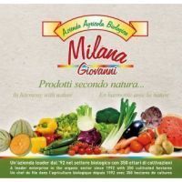 brochure milana-2_pagina_01