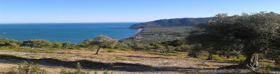Azienda Agricola Bisceglia