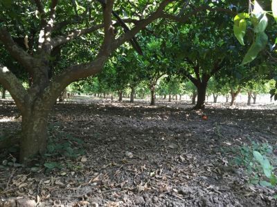 Azienda Agricola Danna