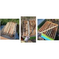 raccolta_stecche1024x4801