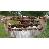 sonia_stecche1024x5751