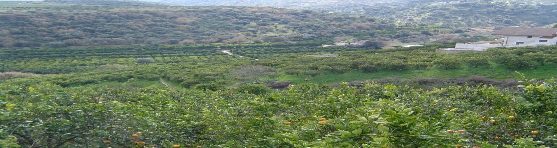 FanusAgrumBio di Francesco Emanuele Zisa