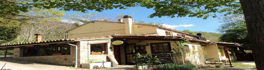 Az. Agr. Becerca di Chiorrini Dezi Flaminia