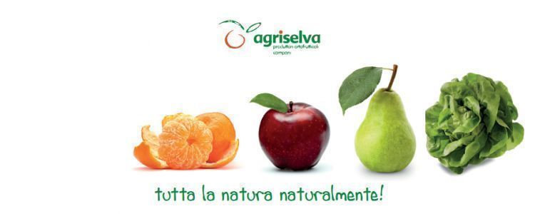 Agriselva sas di Petrella Amedeo & C.