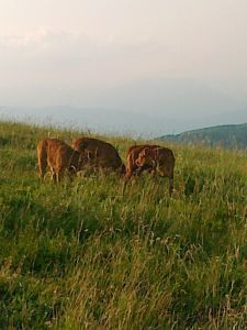 Azienda agricola La Meridiana