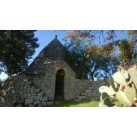 wp_20151206_10_58_42_pro