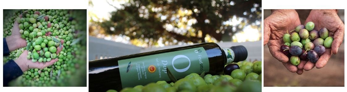 La Goccia d'Oro s.c.a.