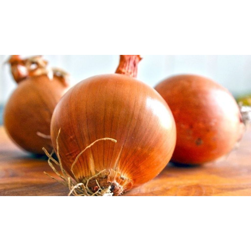 Cipolle prezzo 500gr