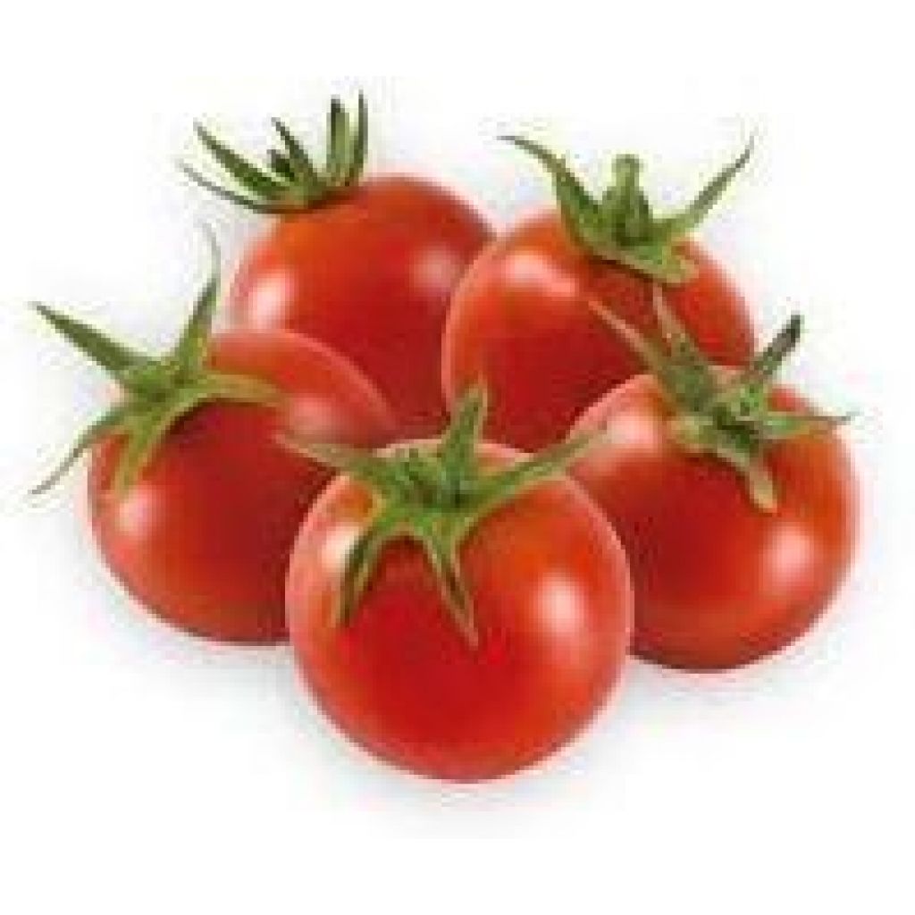 Pomodorini