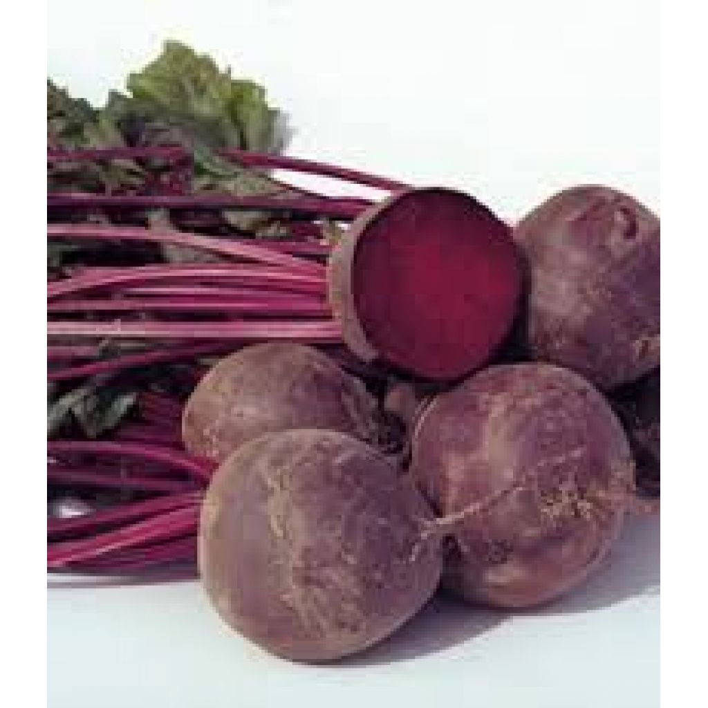 Rape rosse prezzo 500gr (2 pz)