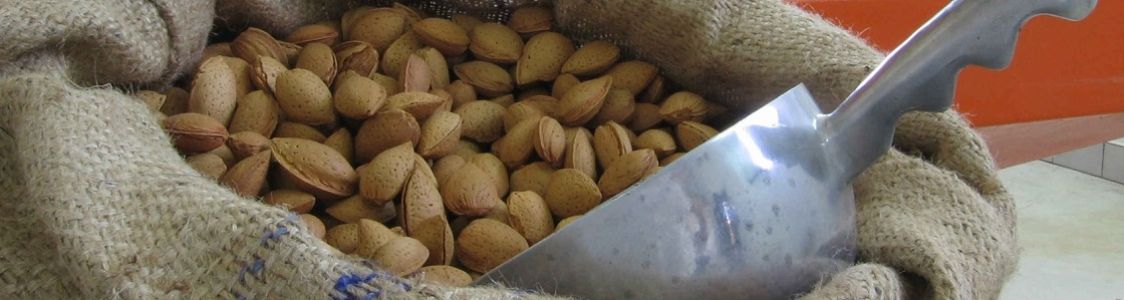 Dolce Pietro (MandorleBio) Az. Agricola