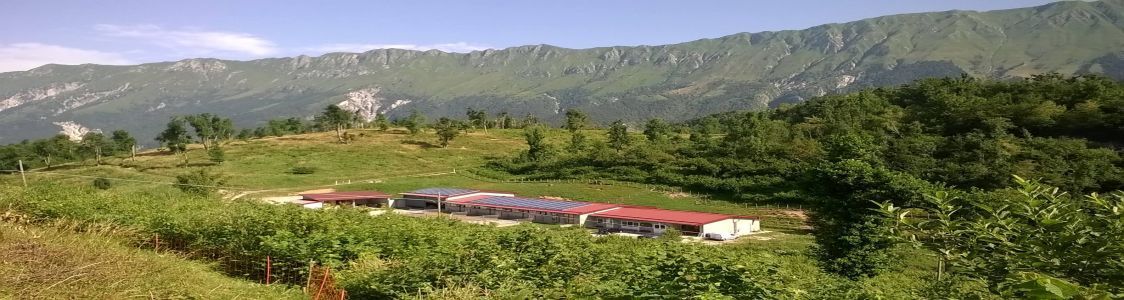 Azienda agricola Zore di Alessia Berra