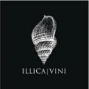 Illica vini
