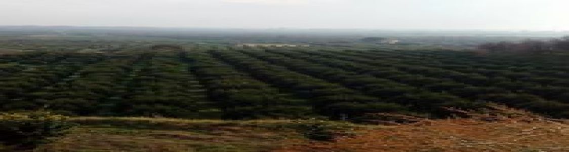 Azienda agricola Clemclick