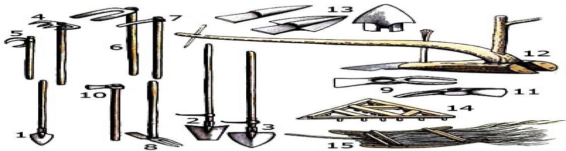 Societ&agrave; Agricola ''Il Leccio''