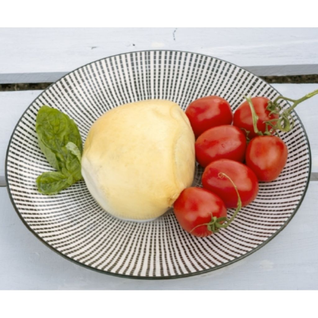 SMOKED BRUNELLA PROVOLA