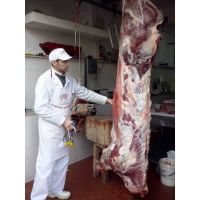 1610946_10204150496424494_759493023318873250_n