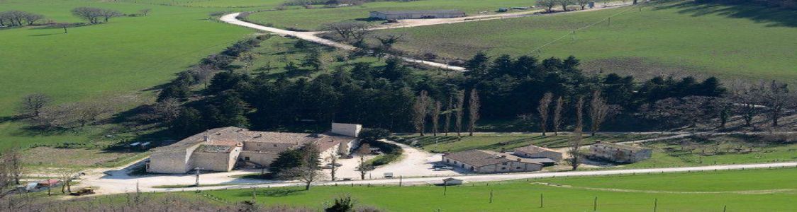 "San Romualdo" Soc. Coop. Agr. a.r.l.