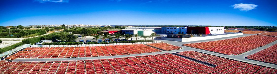 AGRIBLEA DI AGOSTA GIORGIO & C.ssa