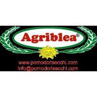logo agriblea
