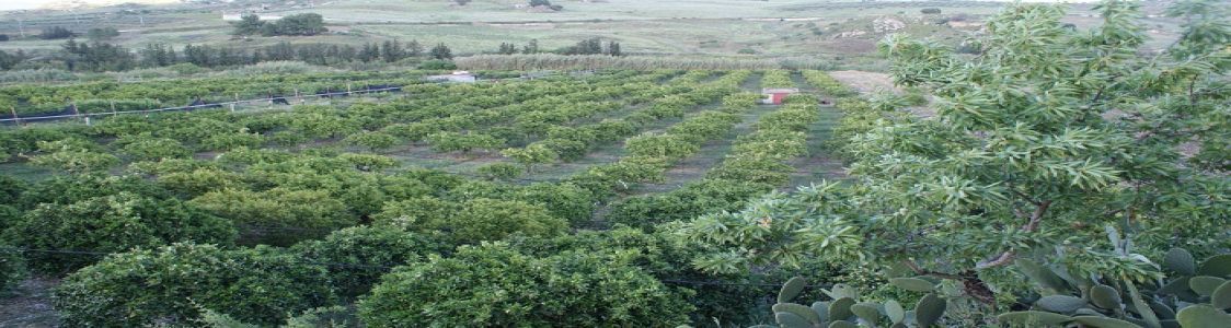 Azienda Agricola Bio Pagano