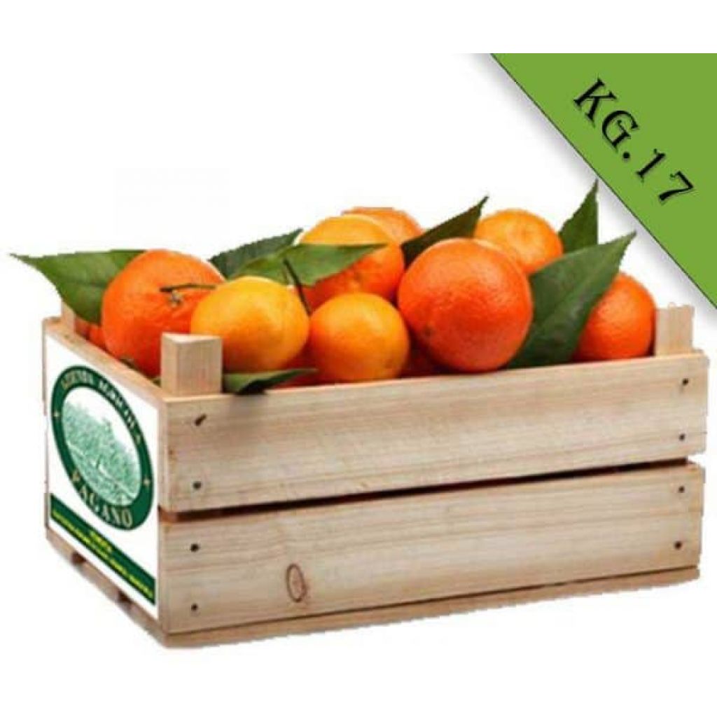 Arance bio di Ribera W. Navel Kg 17