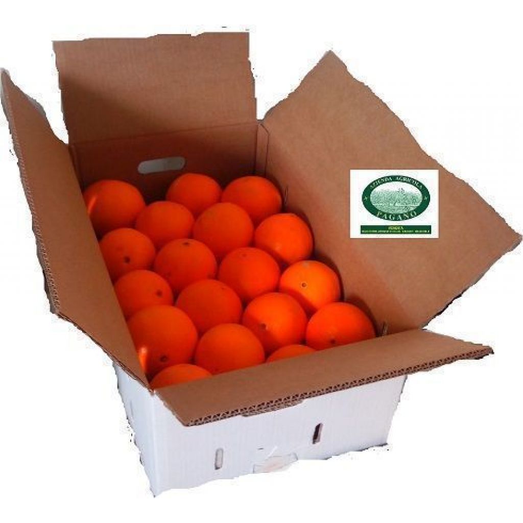 Cassetta di Arance Bionde 12 Kg