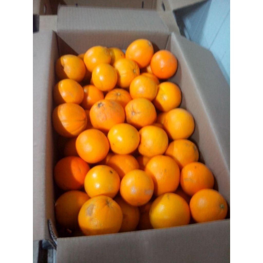 Arance di Ribera Biologiche qualit&agrave; "Spremuta" - 16 Kg
