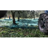 18b29cdf9fbe496a88ff2ac5dd74e4eb