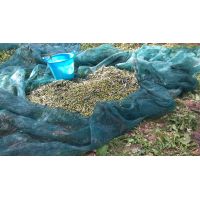 19fb06e5cffd4d928eb1e709b0da231d