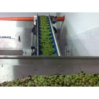 862015_10200783382497640_1344552288_n