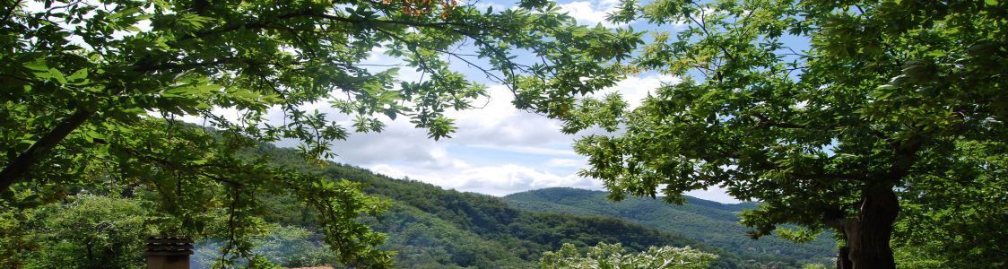 Azienda agricola la Fenice