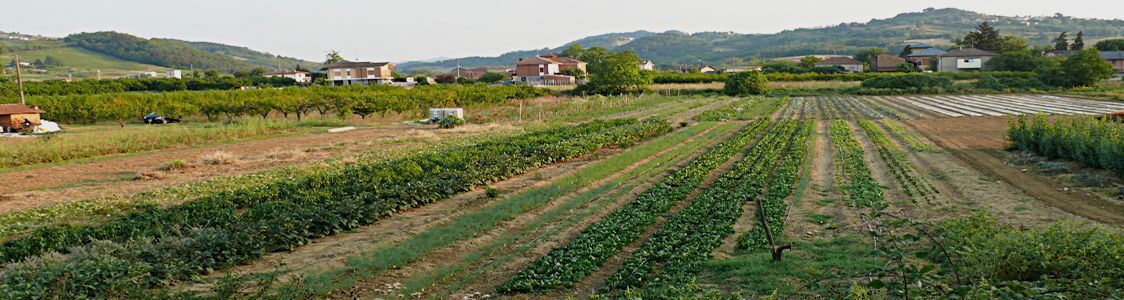 Campobio S. S. Agricola