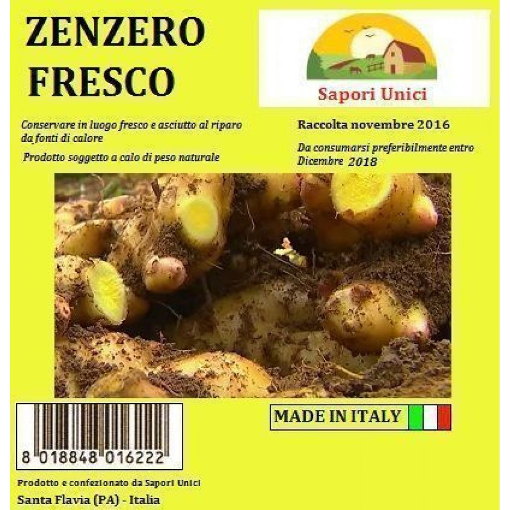ZENZERO FRESCO - RETELLA DA 2 KG,