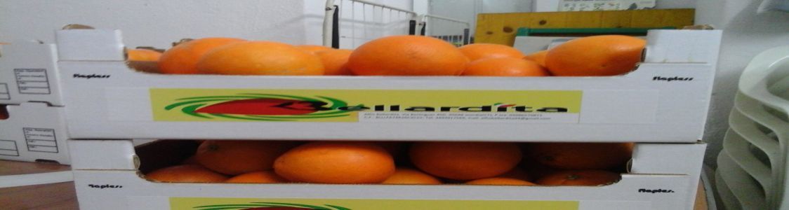 Alfio Bellardita azienda agricola