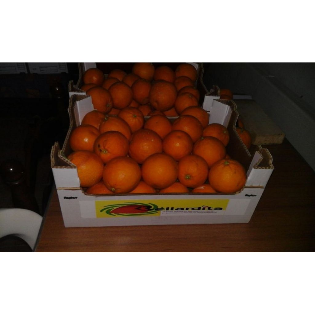 Arancia Sanguinello Moscato Cuscun&agrave; - 7 Kg