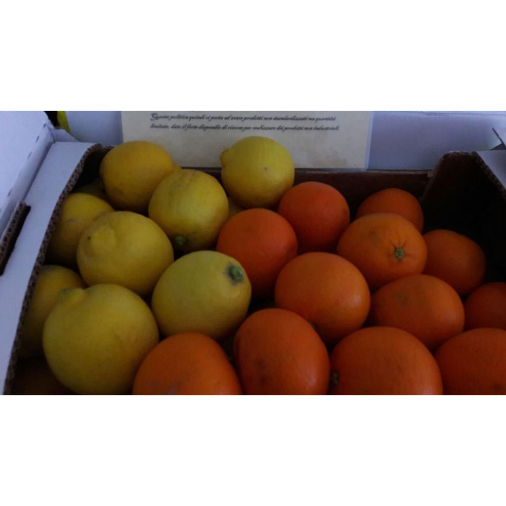 Cassetta arance Nova - 7 Kg