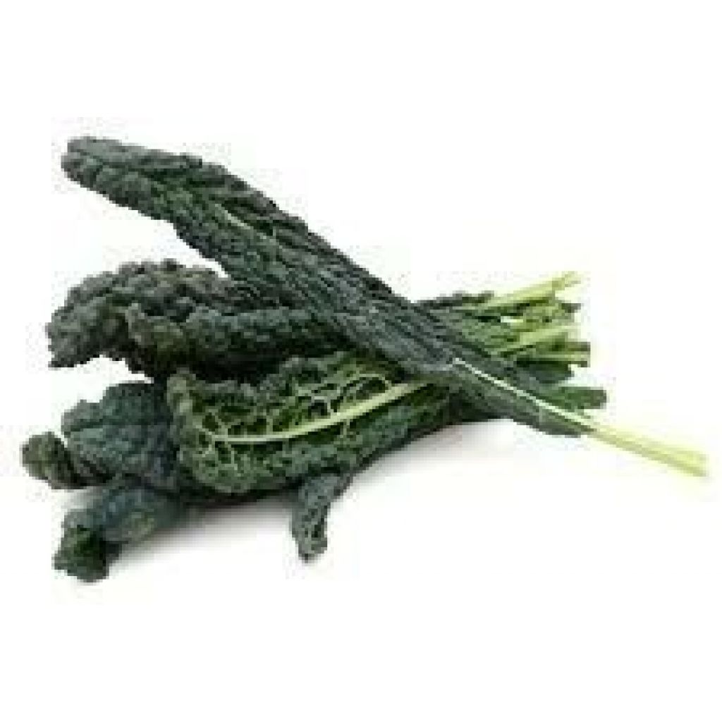 CAVOLO NERO