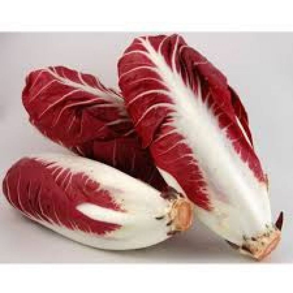 RADICCHIO