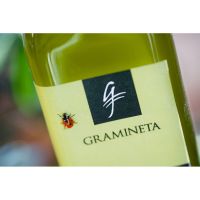 gramineta foto olio 0009 medq